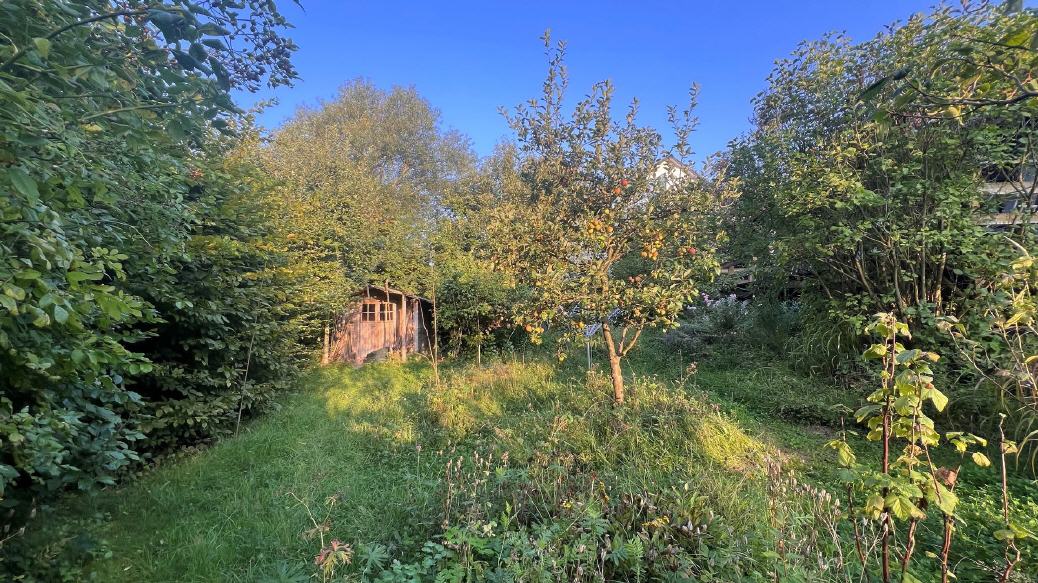 Der gro0e Garten mit seltenen Pflanzen